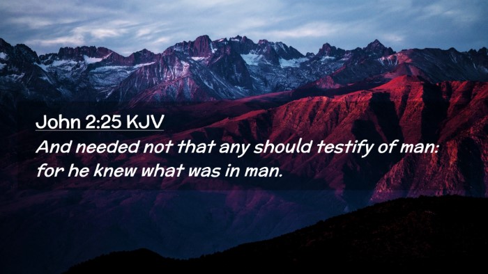 Picture 02 - John 2:25 KJV Desktop Wallpaper - And needed not that any should testify of man: - Desktop Bible Verse Wallpaper
