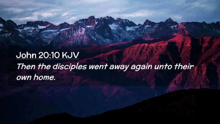 Picture 02 - John 20:10 KJV Desktop Wallpaper - Then the disciples went away again unto their own - Desktop Bible Verse Wallpaper