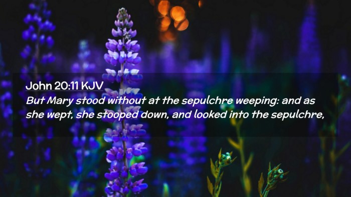 Picture 02 - John 20:11 KJV Desktop Wallpaper - But Mary stood without at the sepulchre weeping: - Desktop Bible Verse Wallpaper