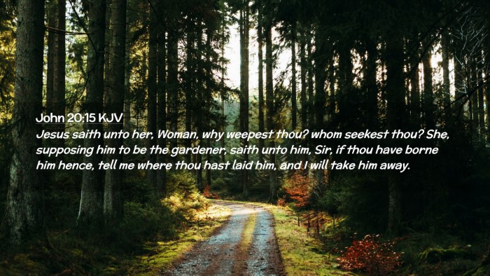 Picture 02 - John 20:15 KJV Desktop Wallpaper - Jesus saith unto her, Woman, why weepest thou? - Desktop Bible Verse Wallpaper