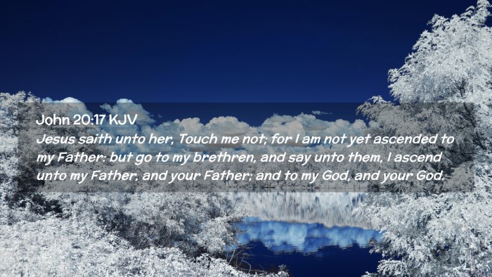 Picture 02 - John 20:17 KJV Desktop Wallpaper - Jesus saith unto her, Touch me not; for I am not - Desktop Bible Verse Wallpaper