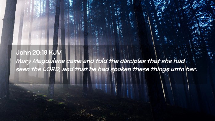 Picture 02 - John 20:18 KJV Desktop Wallpaper - Mary Magdalene came and told the disciples that - Desktop Bible Verse Wallpaper