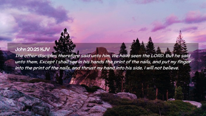 Picture 02 - John 20:25 KJV Desktop Wallpaper - The other disciples therefore said unto him, We - Desktop Bible Verse Wallpaper