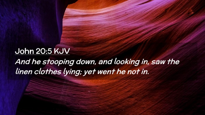 Picture 02 - John 20:5 KJV Desktop Wallpaper - And he stooping down, and looking in, saw the - Desktop Bible Verse Wallpaper