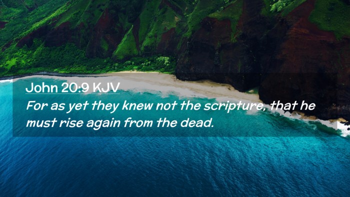 Picture 02 - John 20:9 KJV Desktop Wallpaper - For as yet they knew not the scripture, that he - Desktop Bible Verse Wallpaper