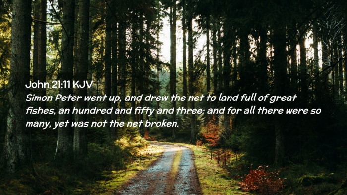 Picture 02 - John 21:11 KJV Desktop Wallpaper - Simon Peter went up, and drew the net to land - Desktop Bible Verse Wallpaper