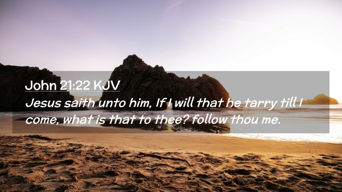 Picture 02 - John 21:22 KJV Desktop Wallpaper - Jesus saith unto him, If I will that he tarry - Desktop Bible Verse Wallpaper