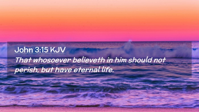 Picture 02 - John 3:15 KJV Desktop Wallpaper - That whosoever believeth in him should not - Desktop Bible Verse Wallpaper