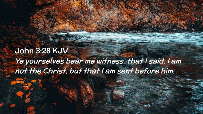 Picture 02 - John 3:28 KJV Desktop Wallpaper - Ye yourselves bear me witness, that I said, I am - Desktop Bible Verse Wallpaper