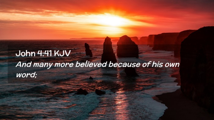 Picture 02 - John 4:41 KJV Desktop Wallpaper - And many more believed because of his own - Desktop Bible Verse Wallpaper