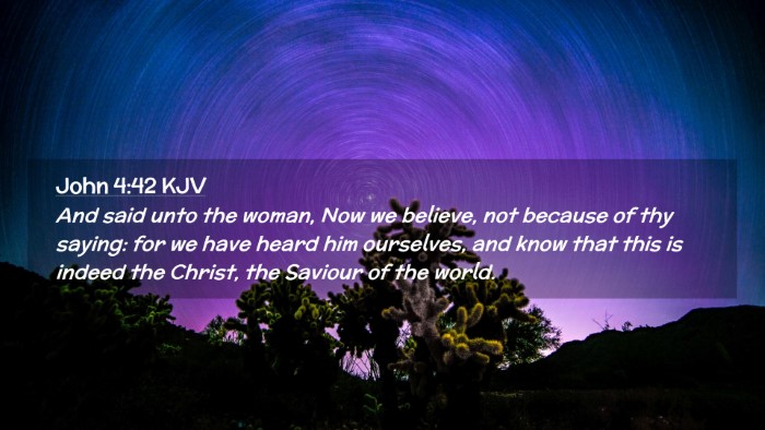 Picture 02 - John 4:42 KJV Desktop Wallpaper - And said unto the woman, Now we believe, not - Desktop Bible Verse Wallpaper