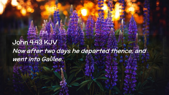 Picture 02 - John 4:43 KJV Desktop Wallpaper - Now after two days he departed thence, and went - Desktop Bible Verse Wallpaper