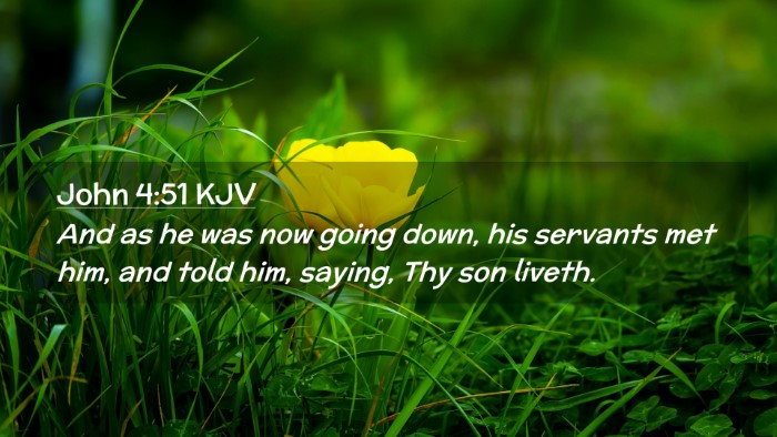 Picture 02 - John 4:51 KJV Desktop Wallpaper - And as he was now going down, his servants met - Desktop Bible Verse Wallpaper