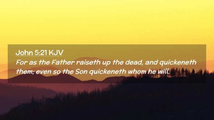 Picture 02 - John 5:21 KJV Desktop Wallpaper - For as the Father raiseth up the dead, and - Desktop Bible Verse Wallpaper