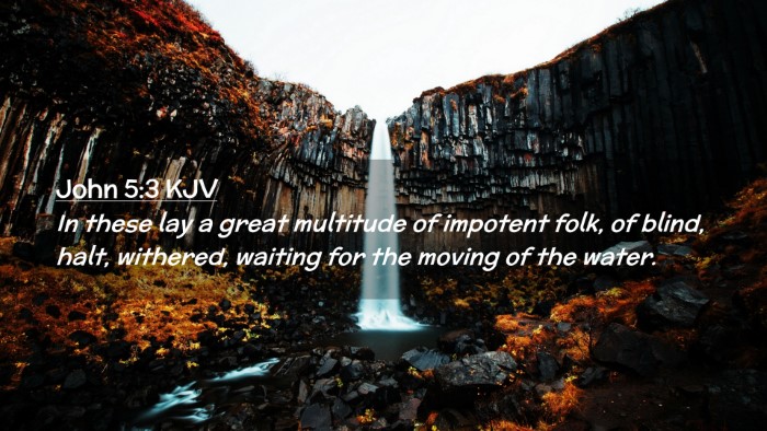 Picture 02 - John 5:3 KJV Desktop Wallpaper - In these lay a great multitude of impotent folk, - Desktop Bible Verse Wallpaper