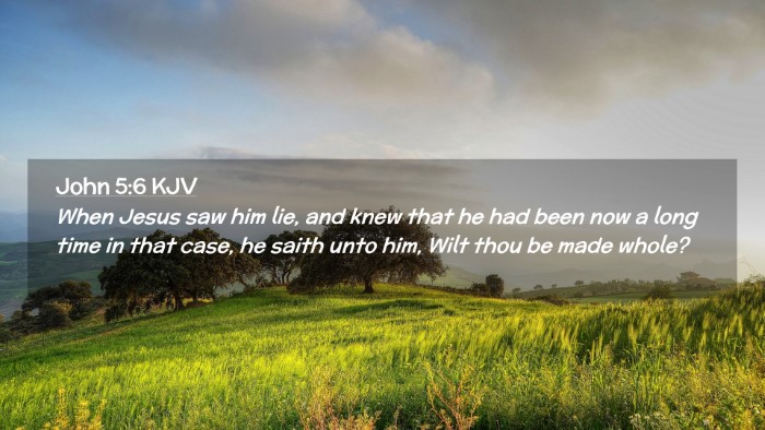 Picture 02 - John 5:6 KJV Desktop Wallpaper - When Jesus saw him lie, and knew that he had been - Desktop Bible Verse Wallpaper