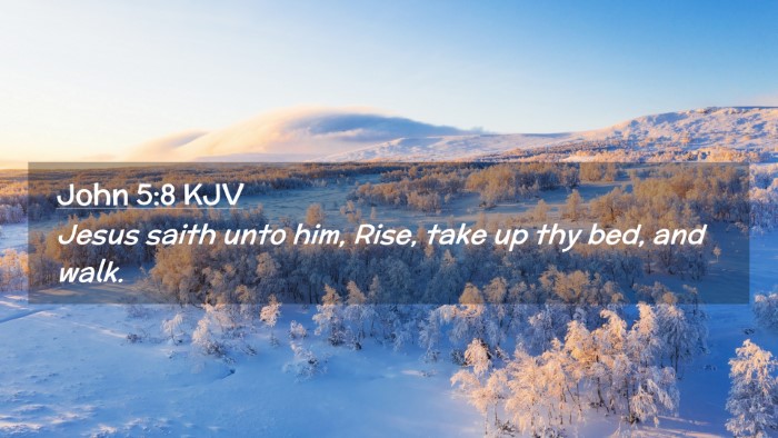 Picture 02 - John 5:8 KJV Desktop Wallpaper - Jesus saith unto him, Rise, take up thy bed, and - Desktop Bible Verse Wallpaper