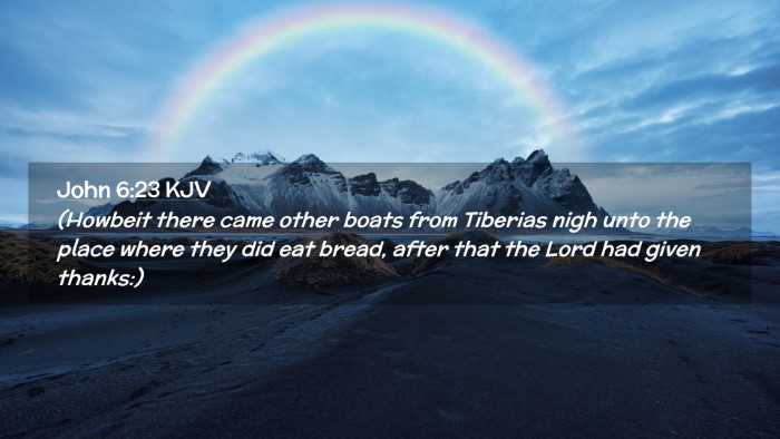 Picture 02 - John 6:23 KJV Desktop Wallpaper - (Howbeit there came other boats from Tiberias - Desktop Bible Verse Wallpaper