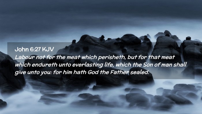 Picture 02 - John 6:27 KJV Desktop Wallpaper - Labour not for the meat which perisheth, but for - Desktop Bible Verse Wallpaper