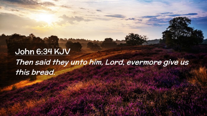 Picture 02 - John 6:34 KJV Desktop Wallpaper - Then said they unto him, Lord, evermore give us - Desktop Bible Verse Wallpaper