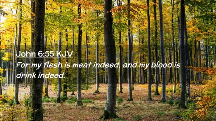 Picture 02 - John 6:55 KJV Desktop Wallpaper - For my flesh is meat indeed, and my blood is - Desktop Bible Verse Wallpaper