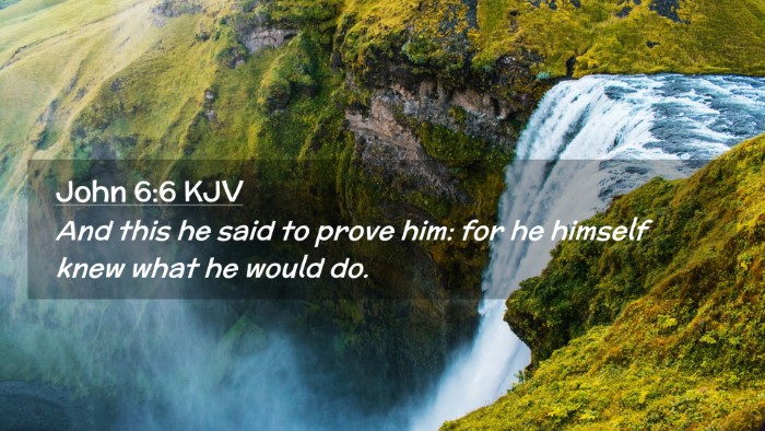 Picture 02 - John 6:6 KJV Desktop Wallpaper - And this he said to prove him: for he himself - Desktop Bible Verse Wallpaper