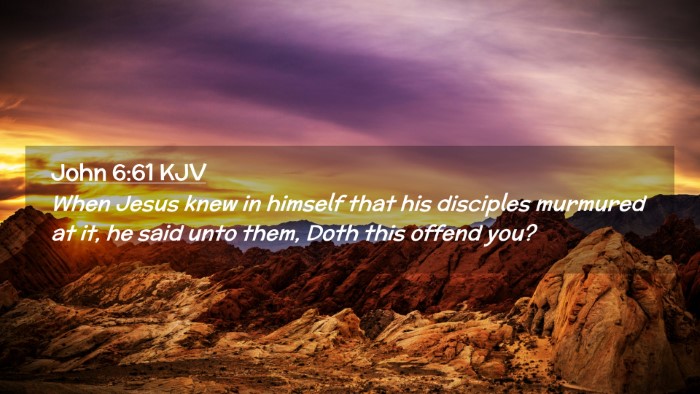 Picture 02 - John 6:61 KJV Desktop Wallpaper - When Jesus knew in himself that his disciples - Desktop Bible Verse Wallpaper