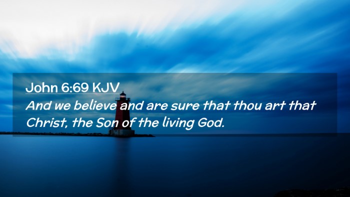 Picture 02 - John 6:69 KJV Desktop Wallpaper - And we believe and are sure that thou art that - Desktop Bible Verse Wallpaper
