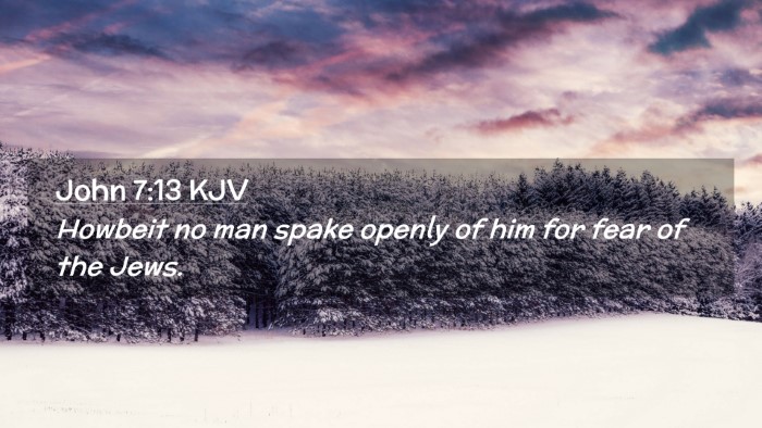 Picture 02 - John 7:13 KJV Desktop Wallpaper - Howbeit no man spake openly of him for fear of - Desktop Bible Verse Wallpaper