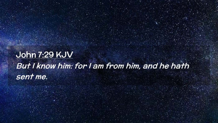 Picture 02 - John 7:29 KJV Desktop Wallpaper - But I know him: for I am from him, and he hath - Desktop Bible Verse Wallpaper