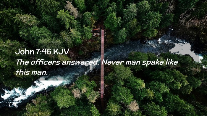 Picture 02 - John 7:46 KJV Desktop Wallpaper - The officers answered, Never man spake like this - Desktop Bible Verse Wallpaper