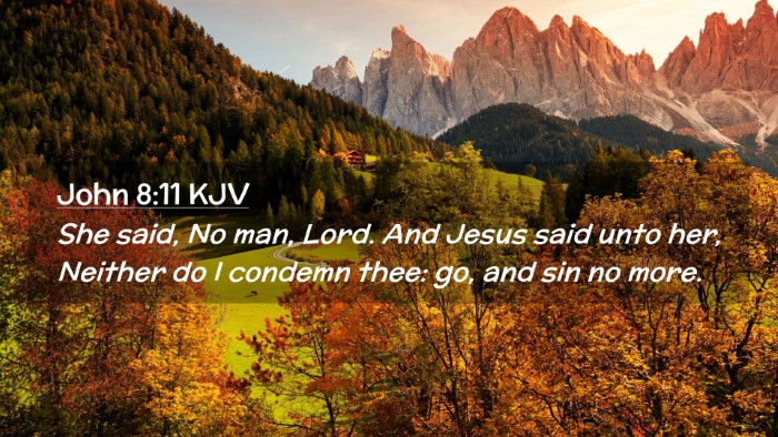 Picture 02 - John 8:11 KJV Desktop Wallpaper - She said, No man, Lord. And Jesus said unto her, - Desktop Bible Verse Wallpaper