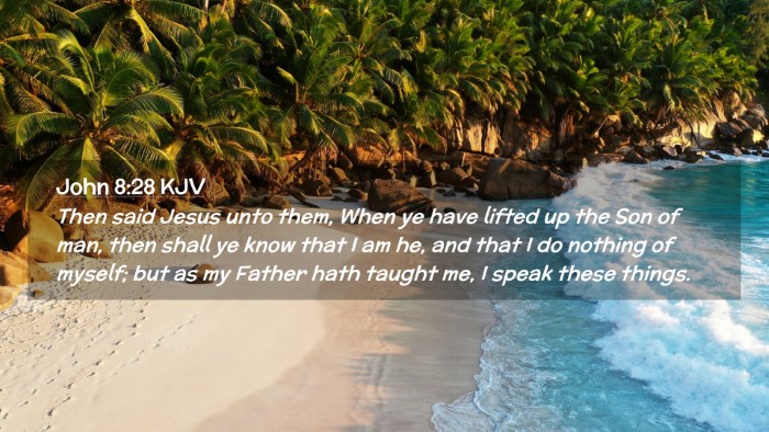 Picture 02 - John 8:28 KJV Desktop Wallpaper - Then said Jesus unto them, When ye have lifted up - Desktop Bible Verse Wallpaper
