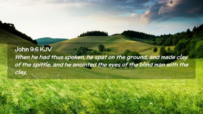 Picture 02 - John 9:6 KJV Desktop Wallpaper - When he had thus spoken, he spat on the ground, - Desktop Bible Verse Wallpaper