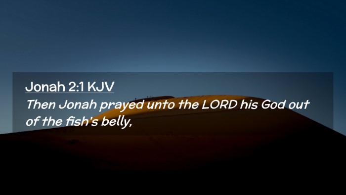 Picture 02 - Jonah 2:1 KJV Desktop Wallpaper - Then Jonah prayed unto the LORD his God out of - Desktop Bible Verse Wallpaper