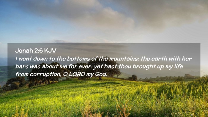Picture 02 - Jonah 2:6 KJV Desktop Wallpaper - I went down to the bottoms of the mountains; the - Desktop Bible Verse Wallpaper