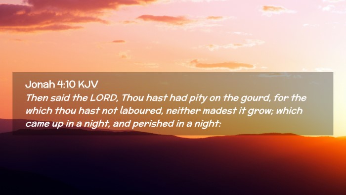 Picture 02 - Jonah 4:10 KJV Desktop Wallpaper - Then said the LORD, Thou hast had pity on the - Desktop Bible Verse Wallpaper