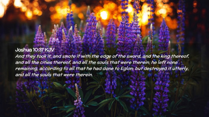 Picture 02 - Joshua 10:37 KJV Desktop Wallpaper - And they took it, and smote it with the edge of - Desktop Bible Verse Wallpaper