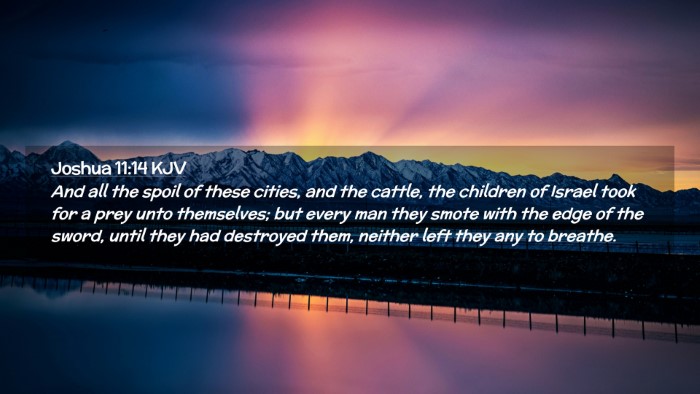 Picture 02 - Joshua 11:14 KJV Desktop Wallpaper - And all the spoil of these cities, and the - Desktop Bible Verse Wallpaper