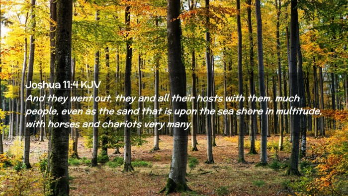 Picture 02 - Joshua 11:4 KJV Desktop Wallpaper - And they went out, they and all their hosts with - Desktop Bible Verse Wallpaper