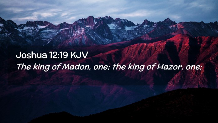 Picture 02 - Joshua 12:19 KJV Desktop Wallpaper - The king of Madon, one; the king of Hazor, - Desktop Bible Verse Wallpaper