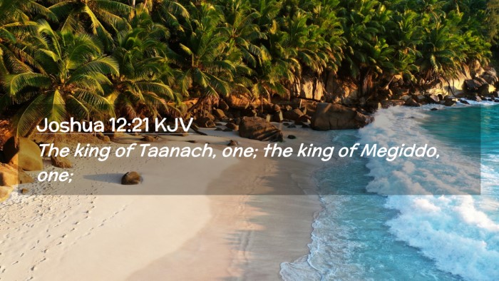 Picture 02 - Joshua 12:21 KJV Desktop Wallpaper - The king of Taanach, one; the king of Megiddo, - Desktop Bible Verse Wallpaper