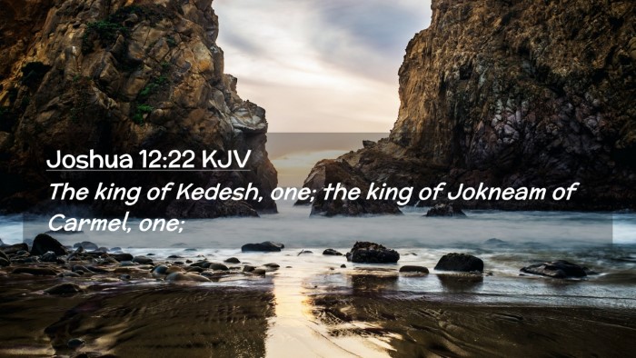 Picture 02 - Joshua 12:22 KJV Desktop Wallpaper - The king of Kedesh, one; the king of Jokneam of - Desktop Bible Verse Wallpaper