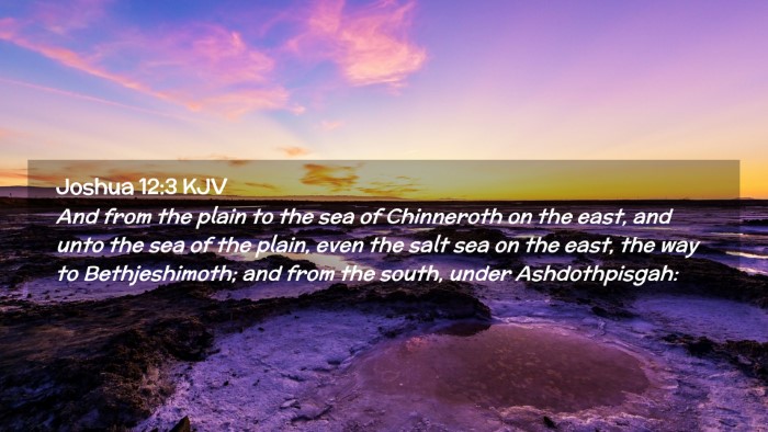 Picture 02 - Joshua 12:3 KJV Desktop Wallpaper - And from the plain to the sea of Chinneroth on - Desktop Bible Verse Wallpaper