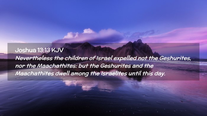 Picture 02 - Joshua 13:13 KJV Desktop Wallpaper - Nevertheless the children of Israel expelled not - Desktop Bible Verse Wallpaper