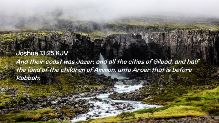 Picture 02 - Joshua 13:25 KJV Desktop Wallpaper - And their coast was Jazer, and all the cities of - Desktop Bible Verse Wallpaper