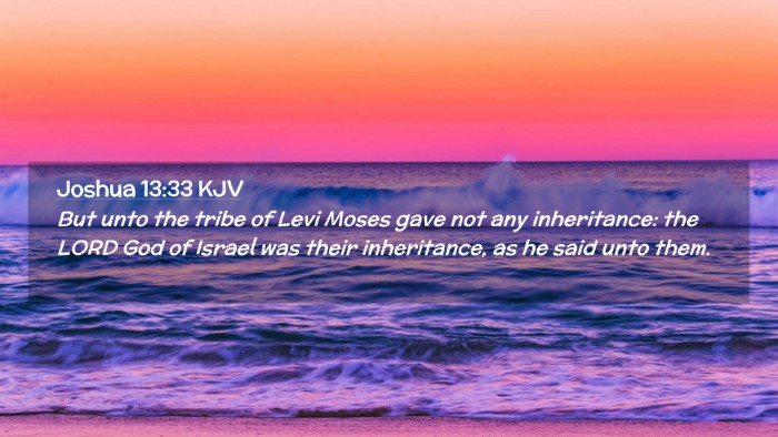Picture 02 - Joshua 13:33 KJV Desktop Wallpaper - But unto the tribe of Levi Moses gave not any - Desktop Bible Verse Wallpaper