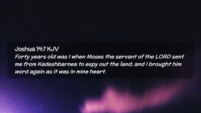 Picture 02 - Joshua 14:7 KJV Desktop Wallpaper - Forty years old was I when Moses the servant of - Desktop Bible Verse Wallpaper
