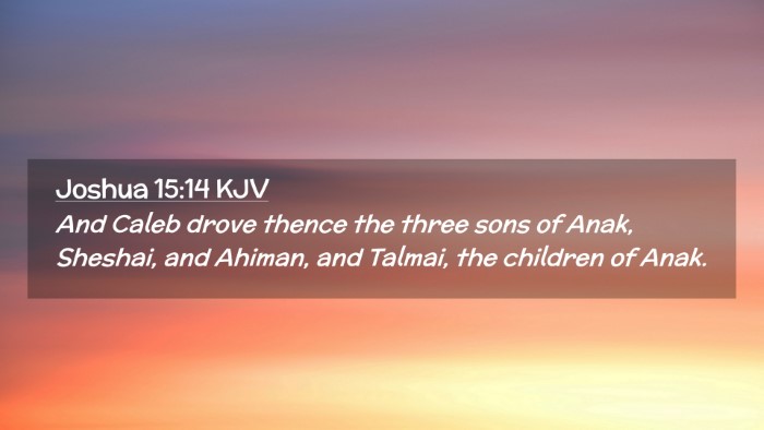 Picture 02 - Joshua 15:14 KJV Desktop Wallpaper - And Caleb drove thence the three sons of Anak, - Desktop Bible Verse Wallpaper