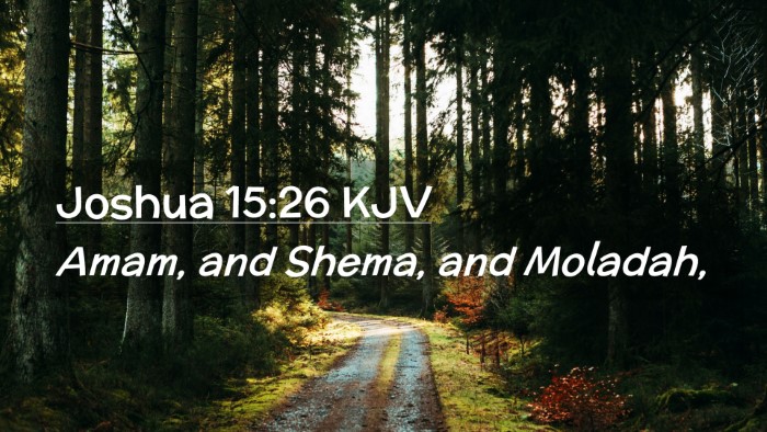Picture 02 - Joshua 15:26 KJV Desktop Wallpaper - Amam, and Shema, and - Desktop Bible Verse Wallpaper